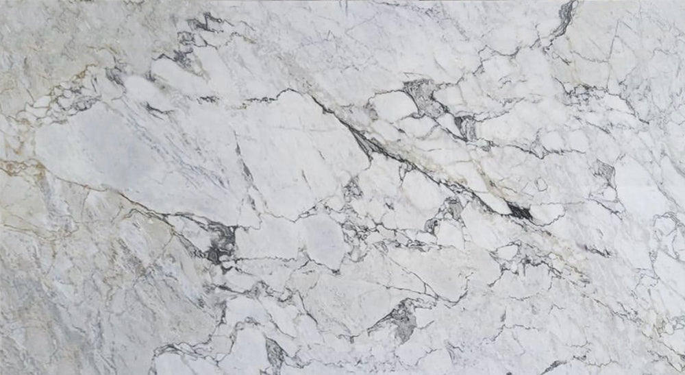 Calacatta Pietrasanta High Honed 2cm