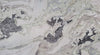 Oyster White Polished 3cm