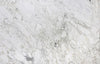 Breccia Capraia Beige