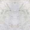 Breccia Capraia Beige