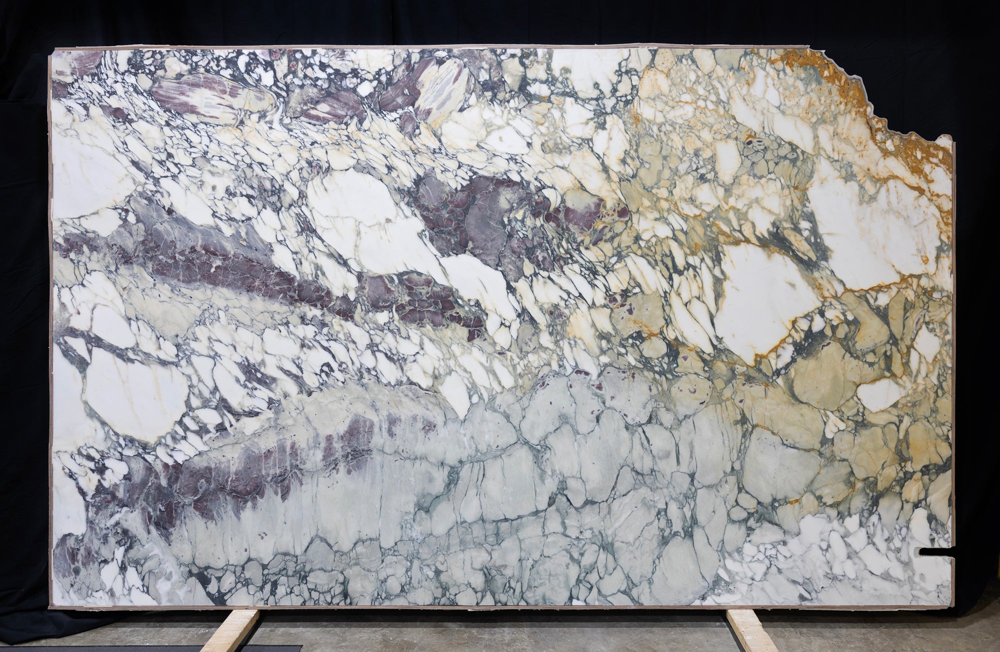 Breccia Capraia Extra