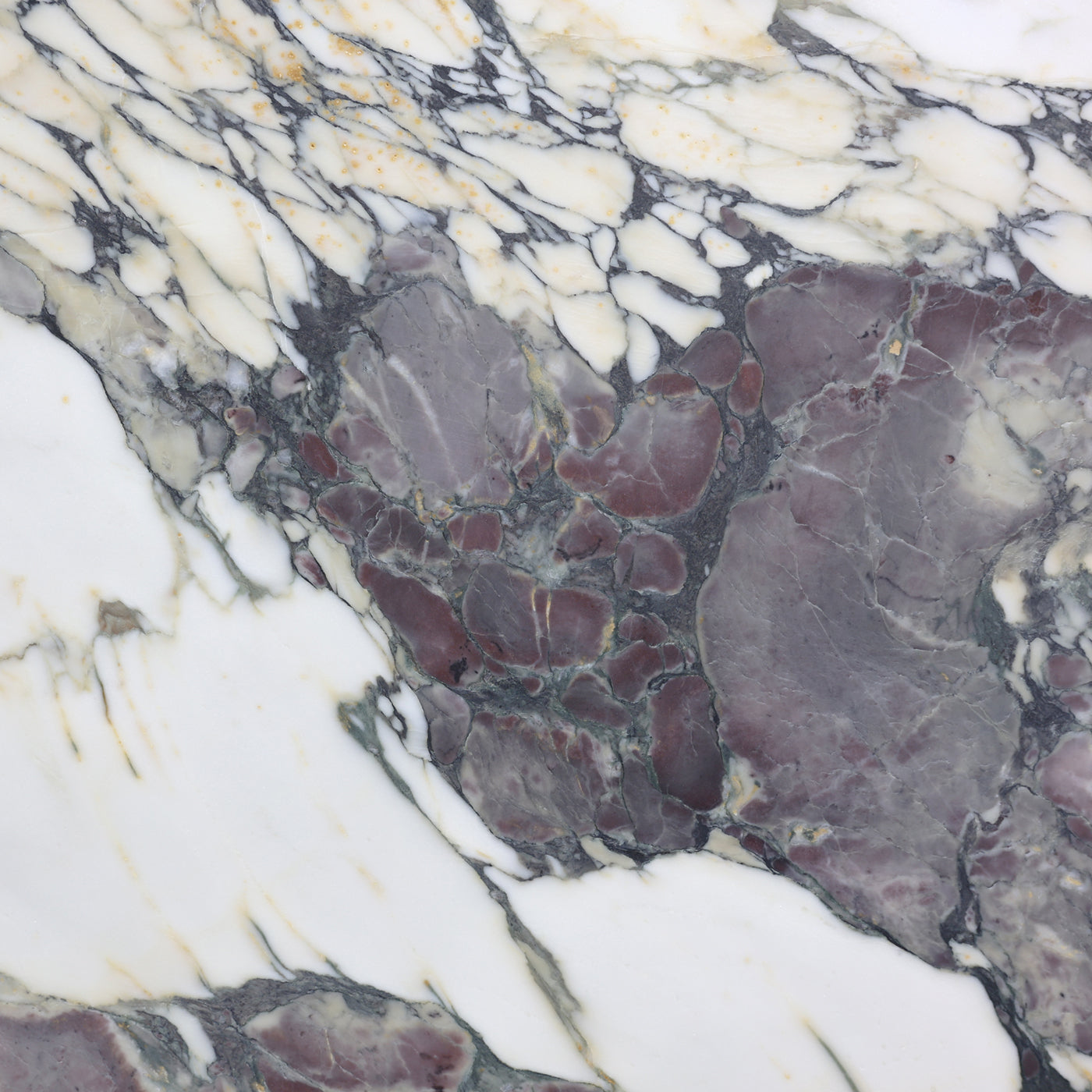 Breccia Capraia Extra