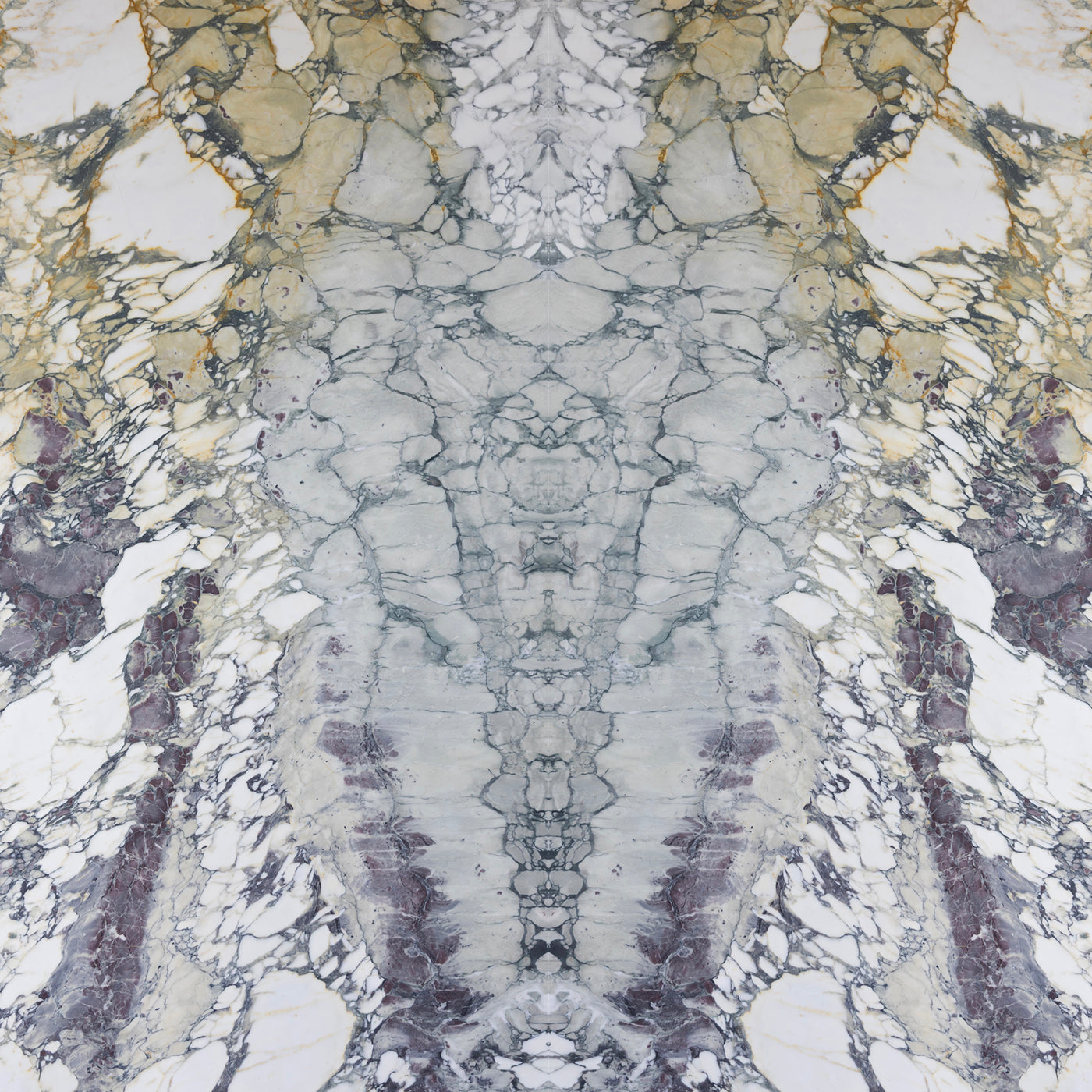 Breccia Capraia Extra