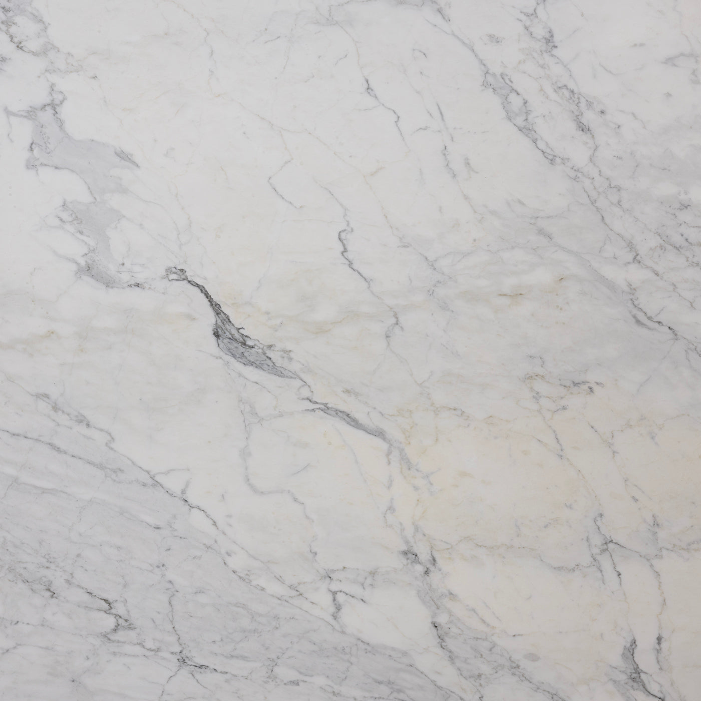 Calacatta Cremo
