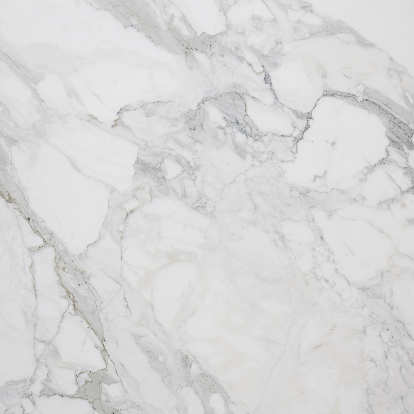 Calacatta Gold Extra VP