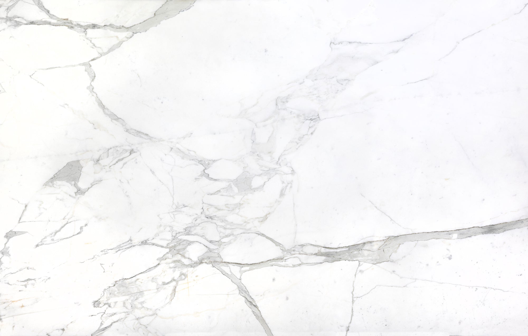 Calacatta Gold Extra