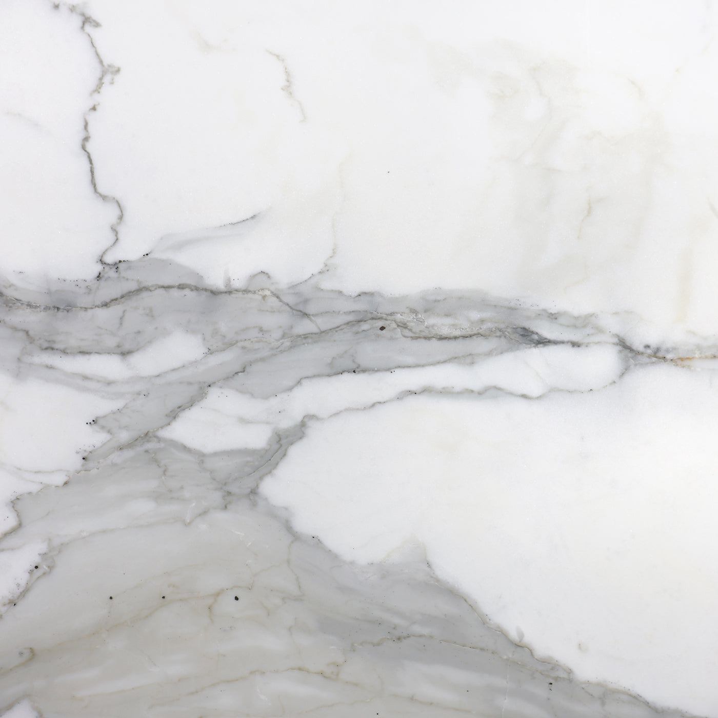 Calacatta Gold Extra