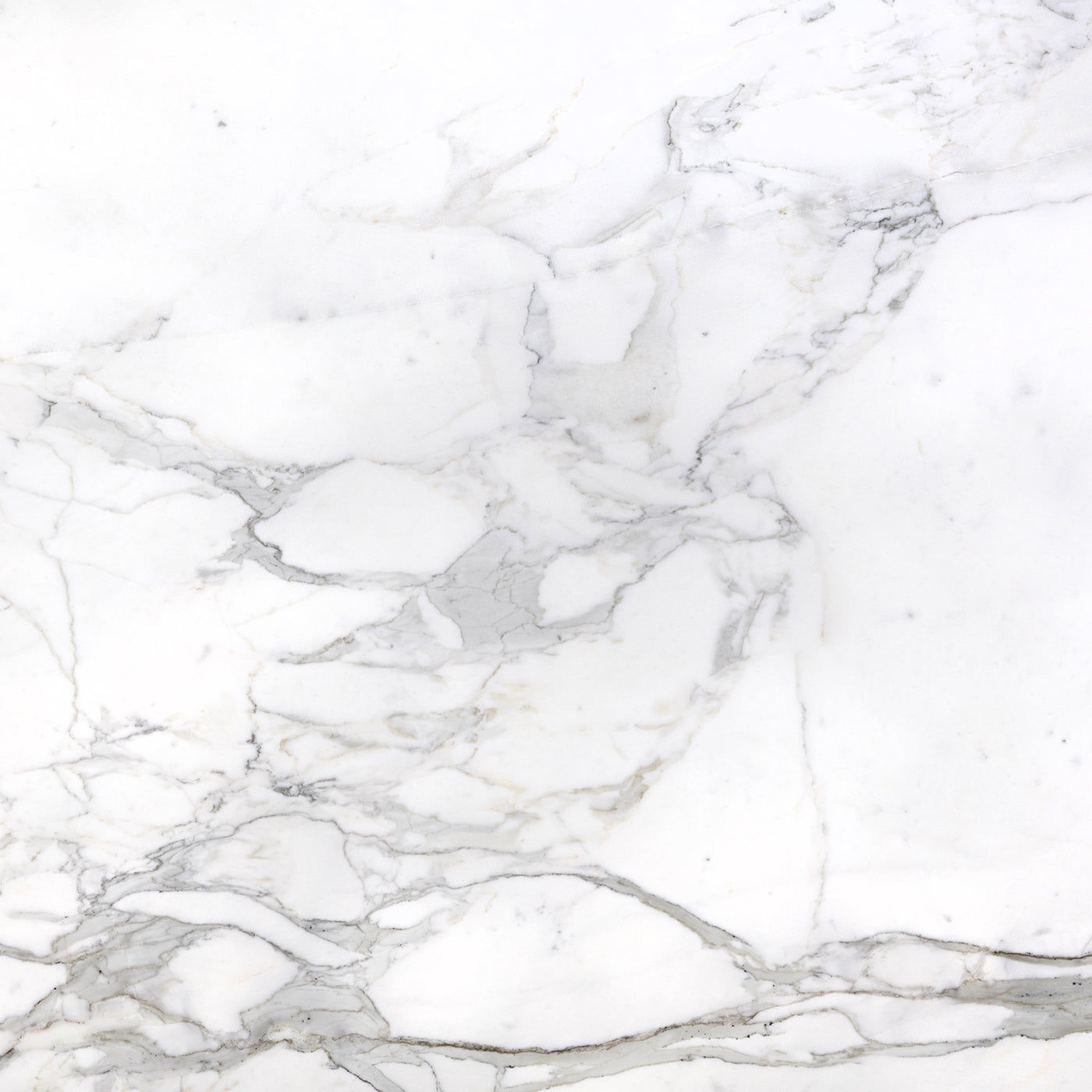 Calacatta Gold Extra