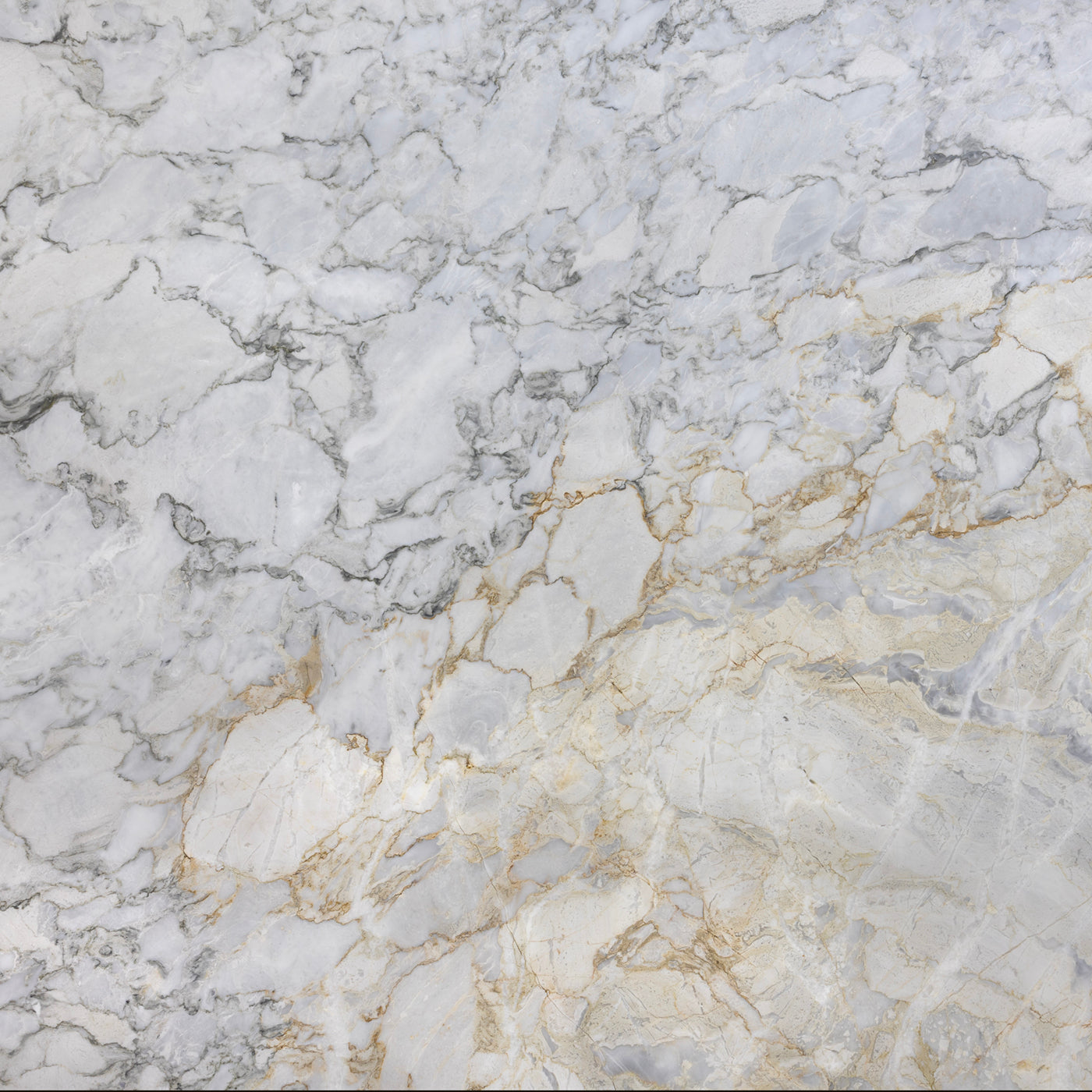 Calacatta Pietrasanta 3