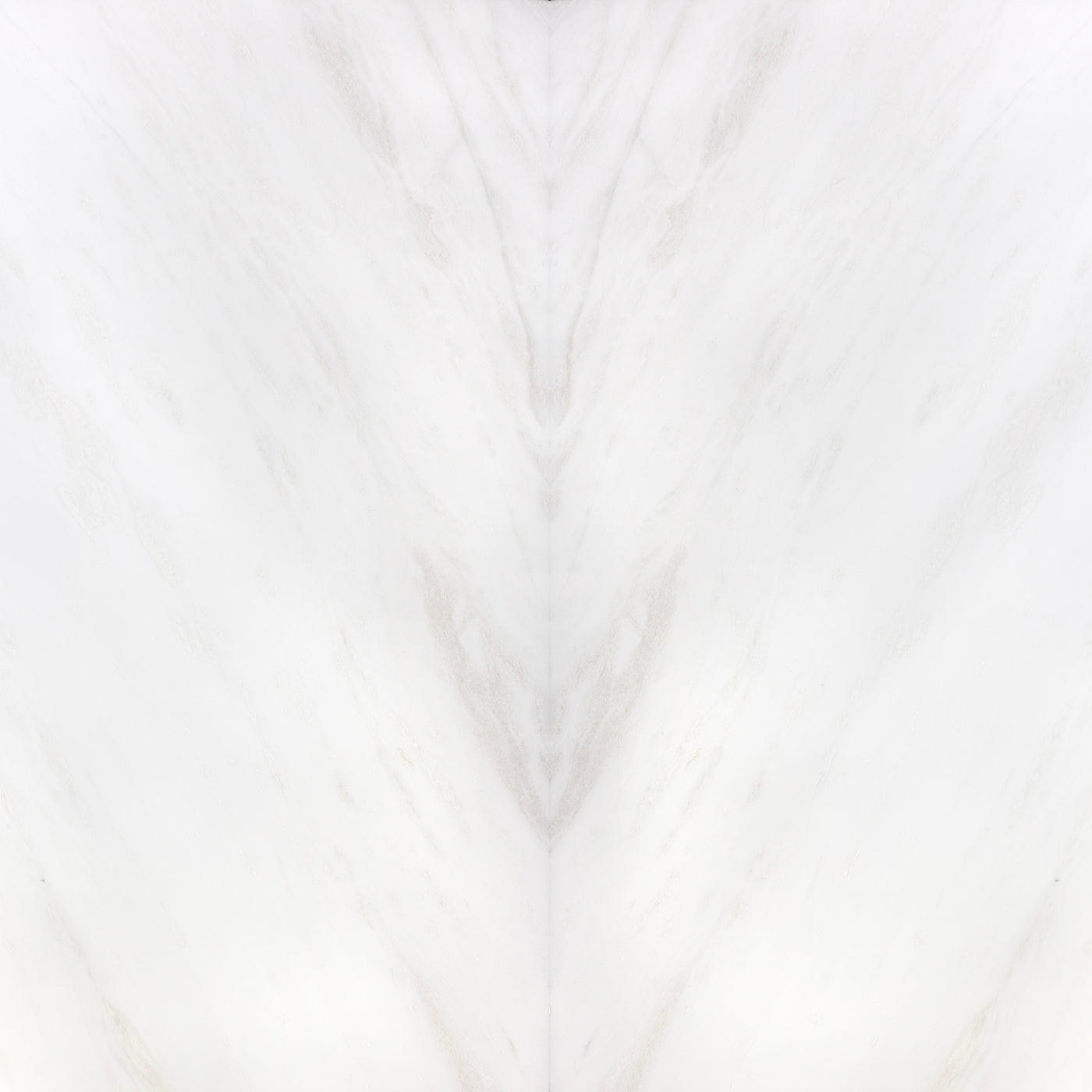 Namibia White
