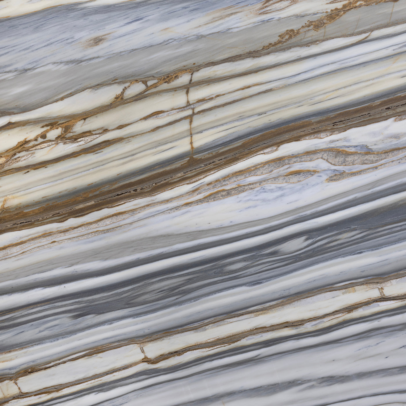 Zebrino Macchia Vecchia