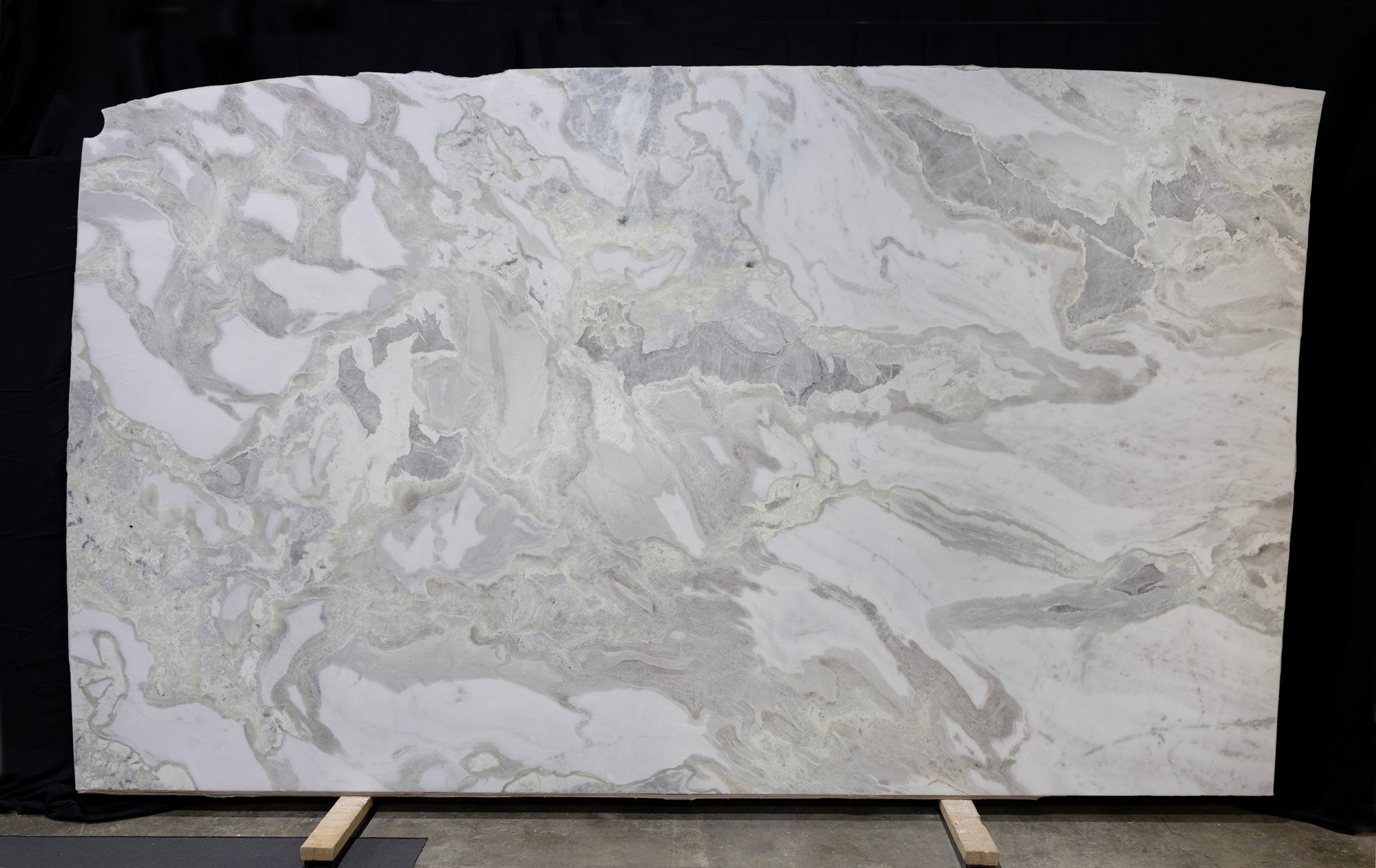 Oyster - Quartzite