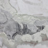 Oyster - Quartzite