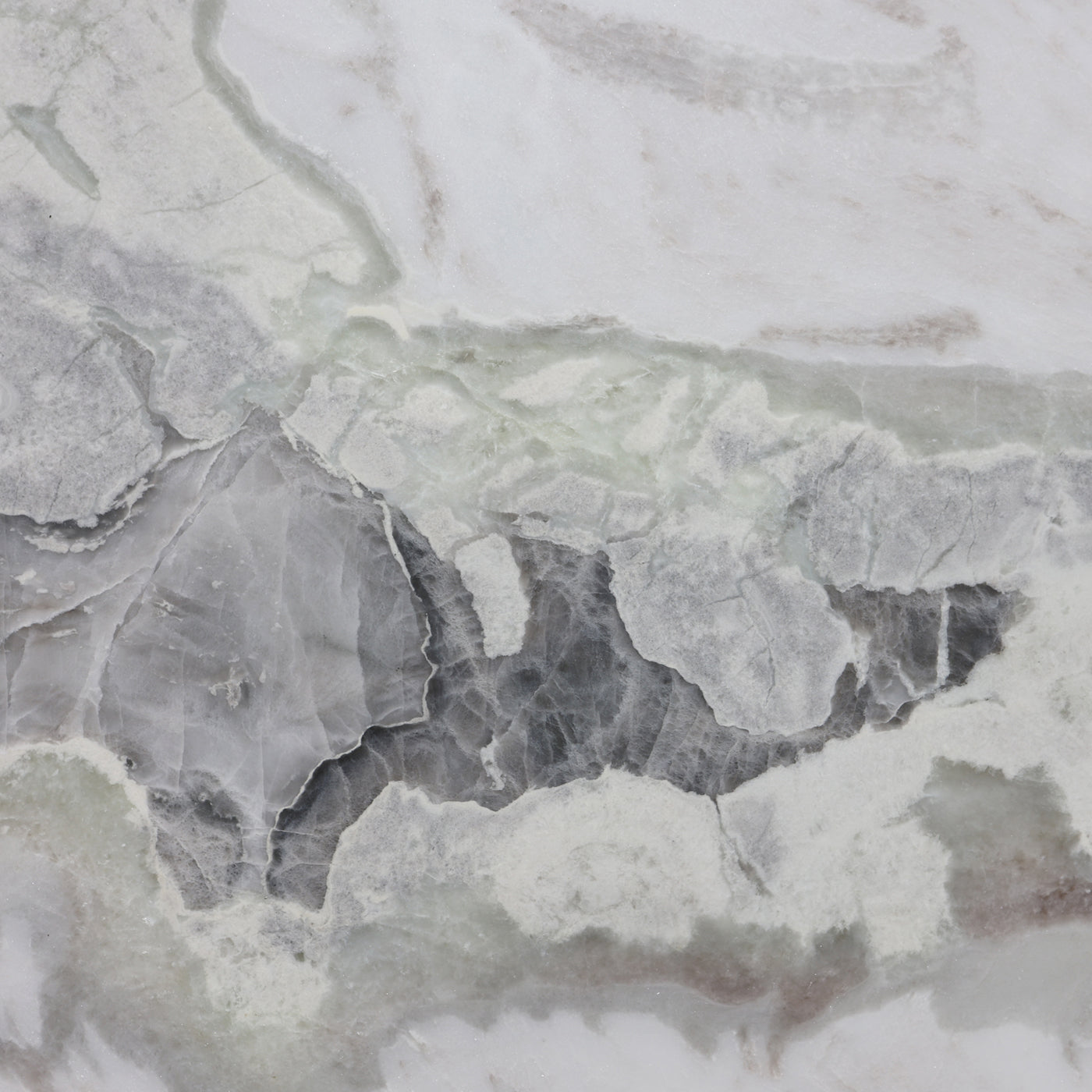Oyster - Quartzite