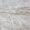 Taj Mahal - Quartzite