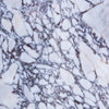 Calacatta_Viola