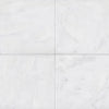Venetian White - Leathered