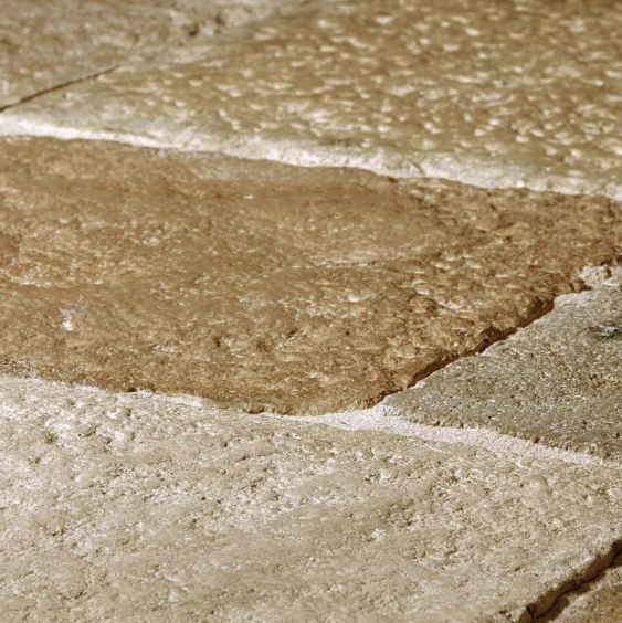 Dalle de Bourgogne Reproduction