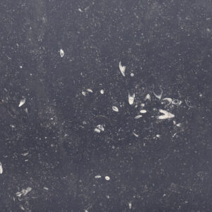 Belgian Bluestone