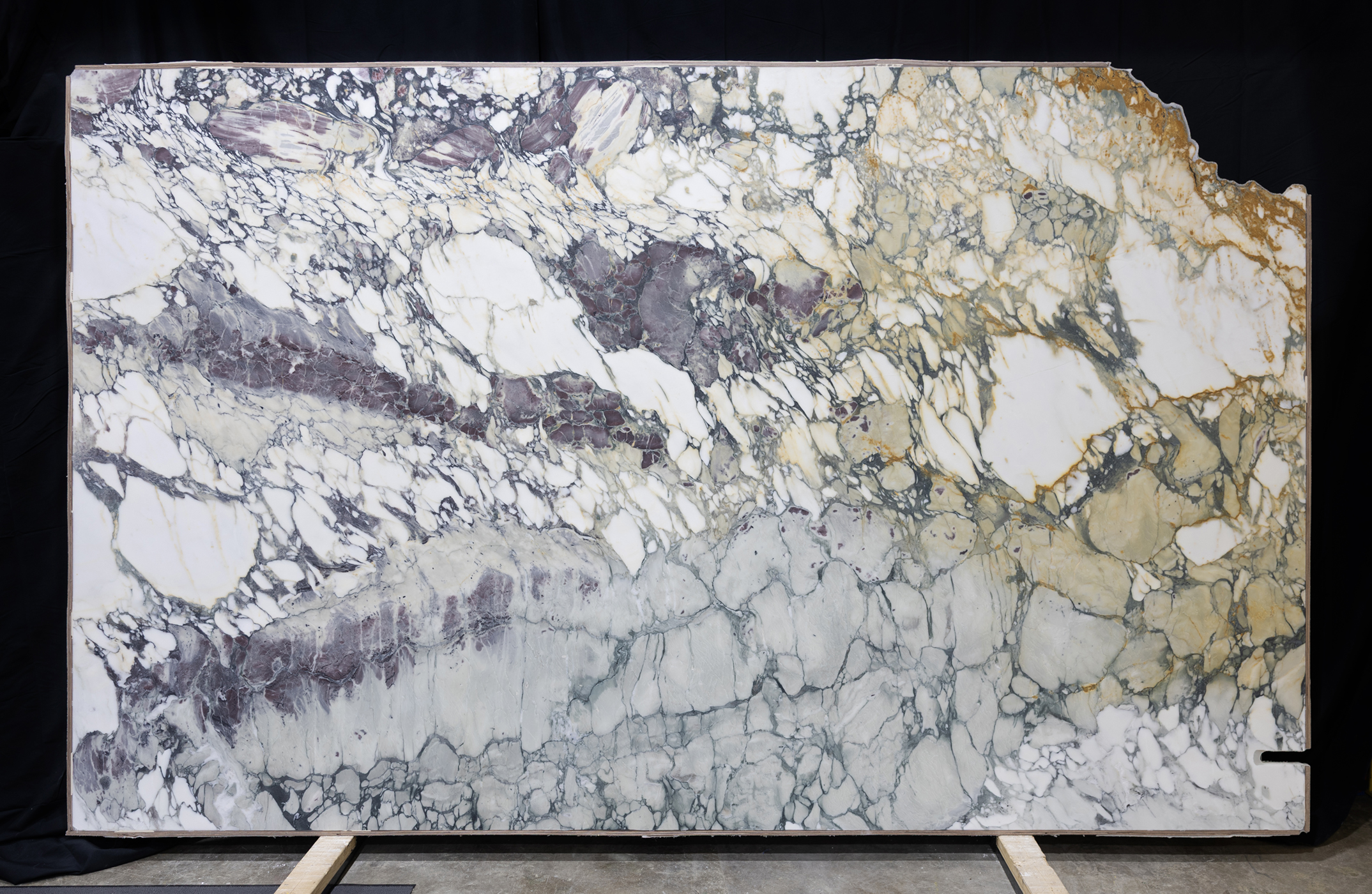 Breccia Capraia Extra - Image 2