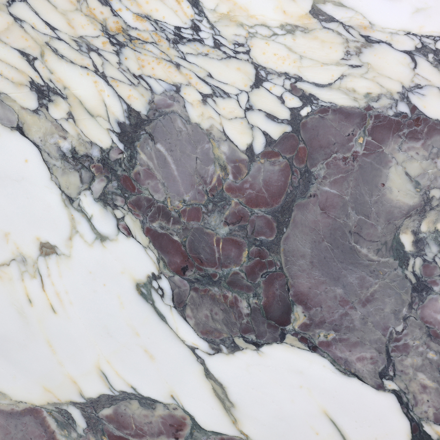 Breccia Capraia Extra - Image 3