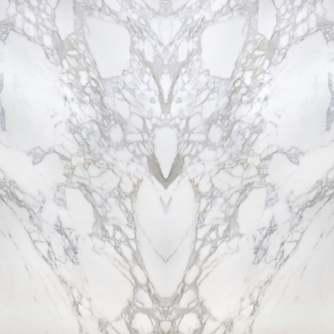 Calacatta Borghini - Image 4