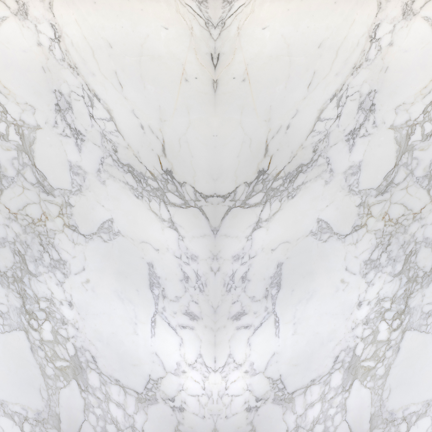 Calacatta Borghini - Image 5