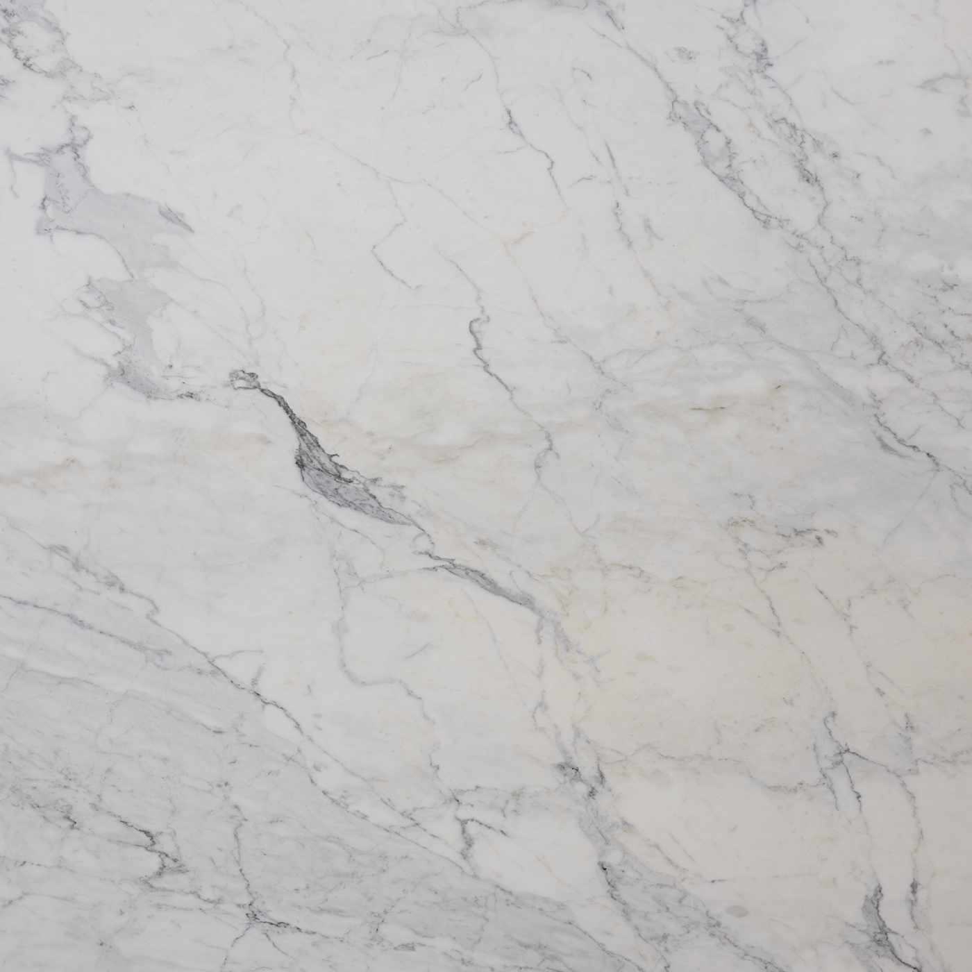 Calacatta Cremo - Image 3