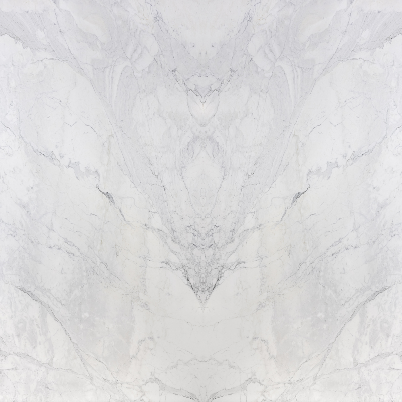 Calacatta Cremo - Image 4