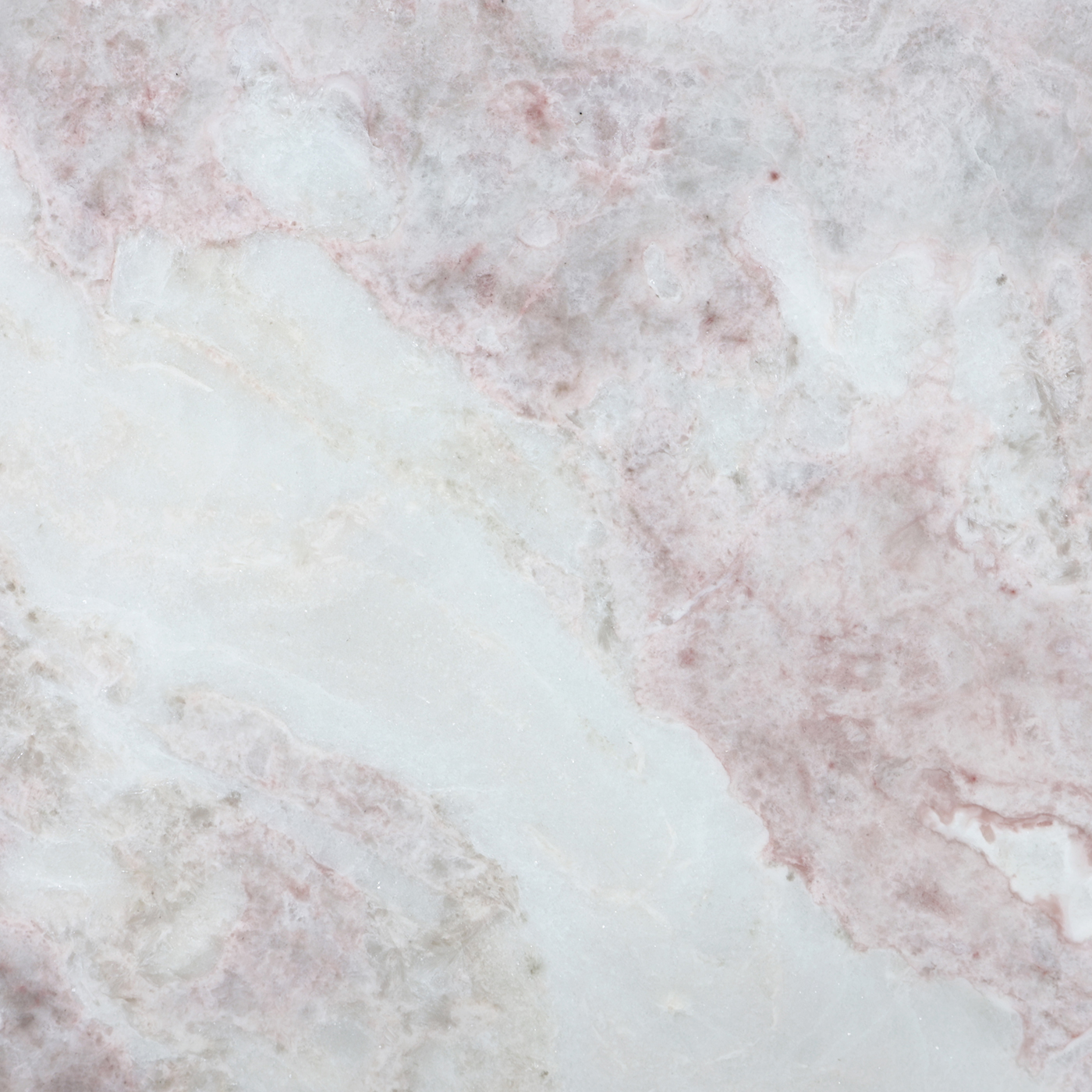Dover Pink - Image 3