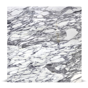 Marble Arabescato Corchia