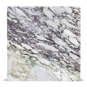 Marble Calacatta Viola