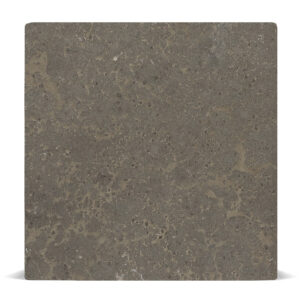 Marble Medici