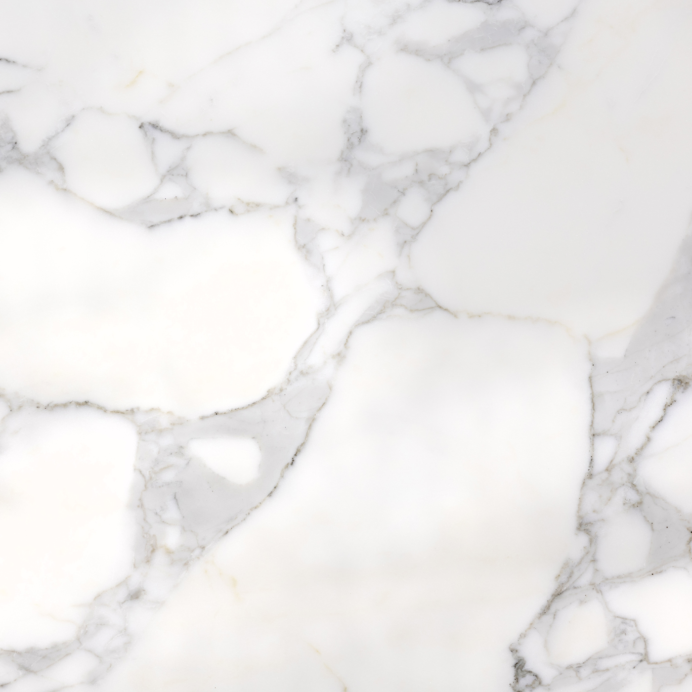 Calacatta Borghini 2 - Image 3