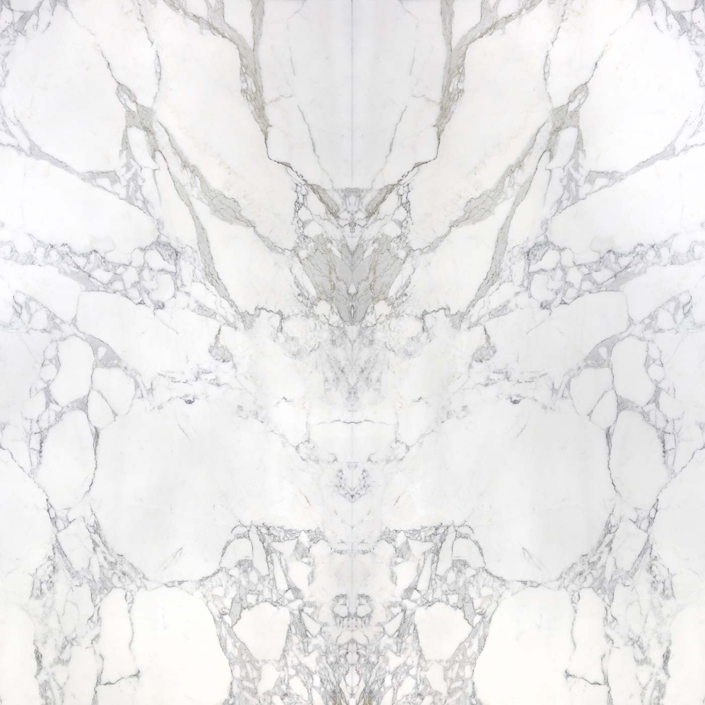 Calacatta Borghini 2 - Image 4