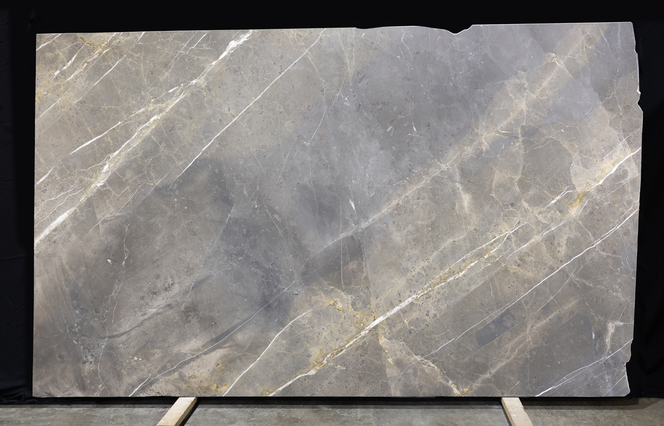 Grigio Collemandina - Image 2