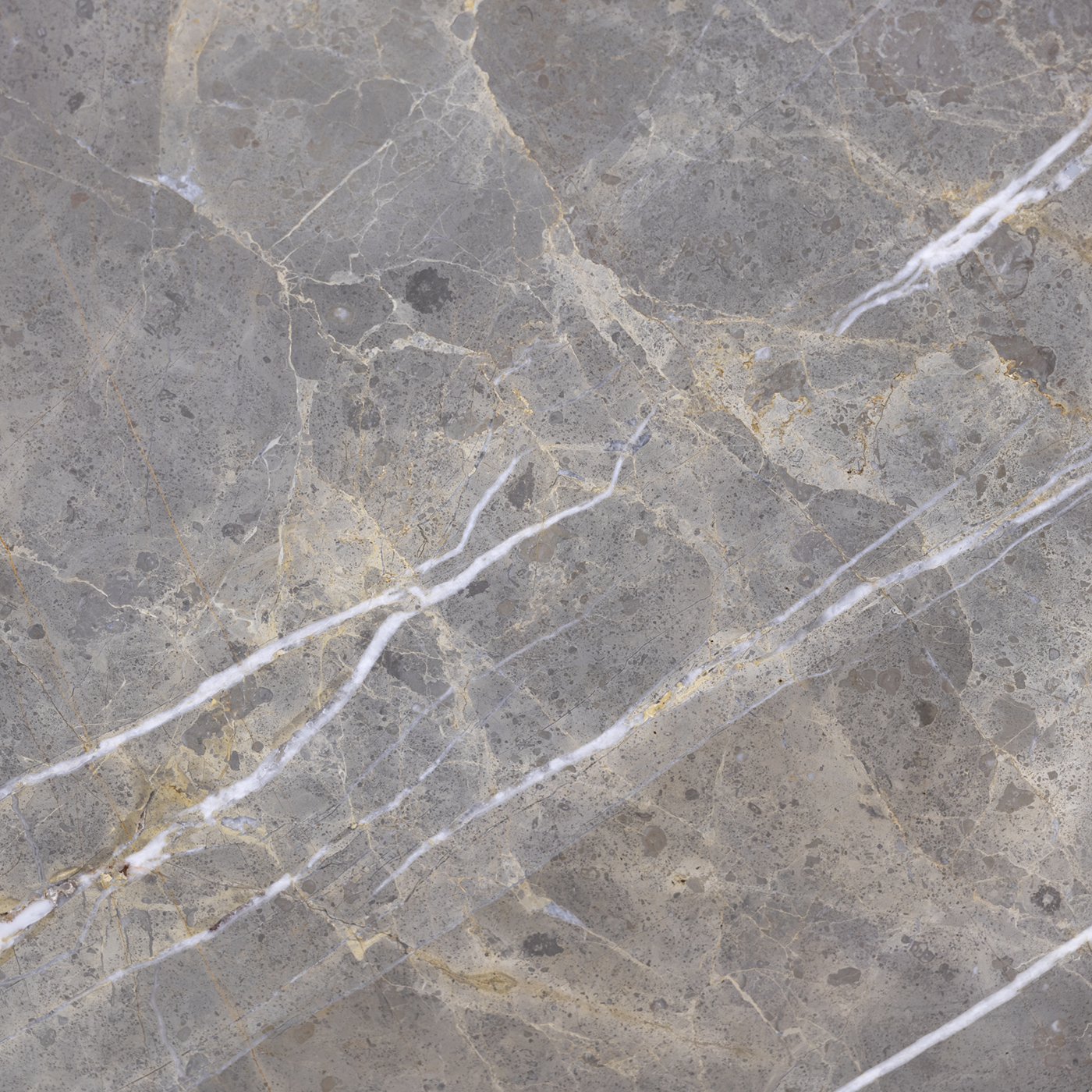 Grigio Collemandina - Image 3