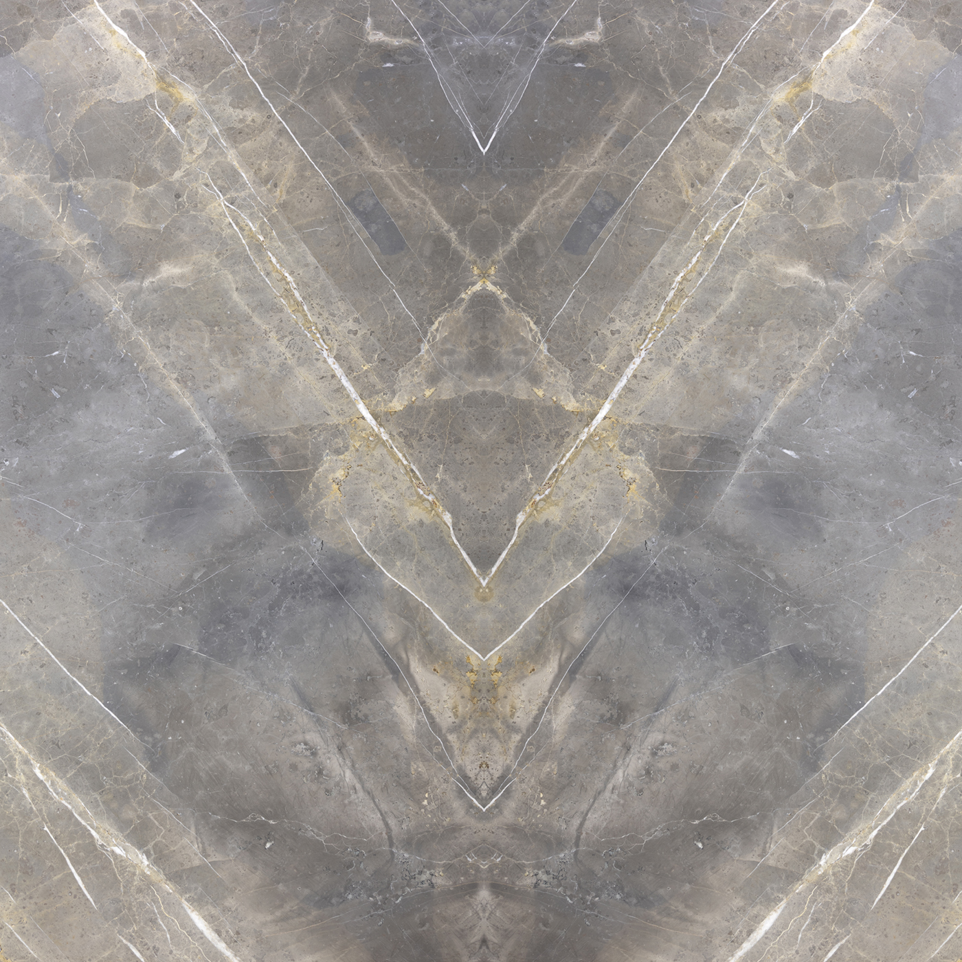 Grigio Collemandina - Image 4
